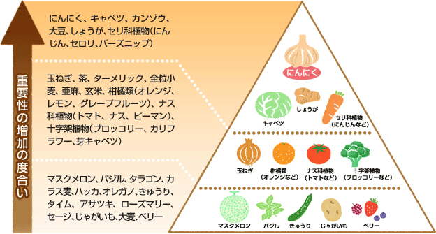 ガン（がん・癌）予防にはにんにく成分DATSが有効